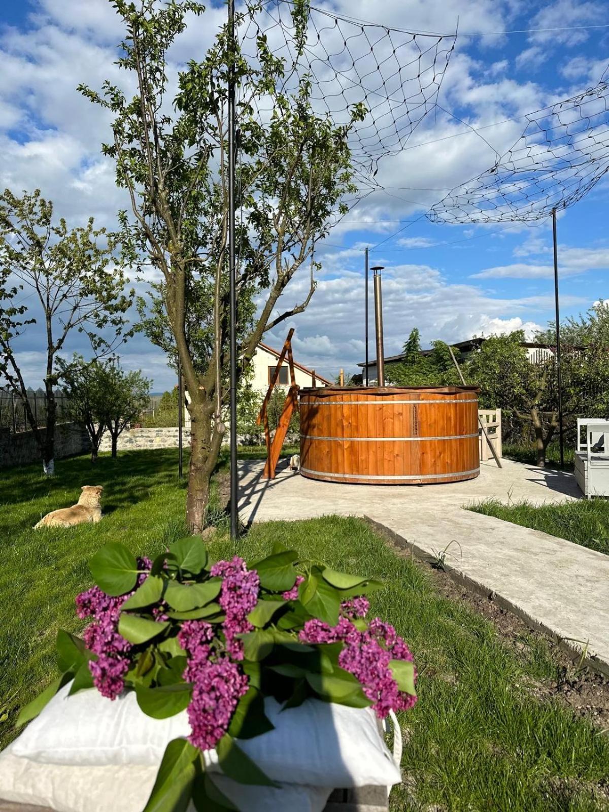 Casa din Deal Sibiu Bagian luar foto